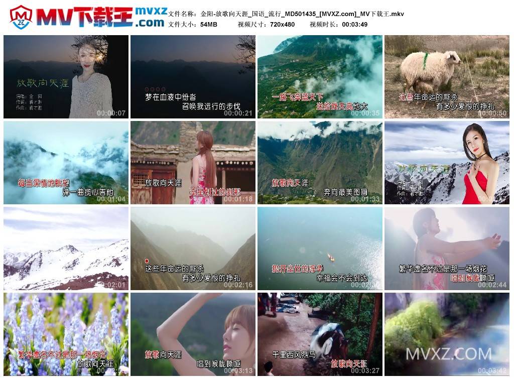 金阳-放歌向天涯_国语_流行_MD501435